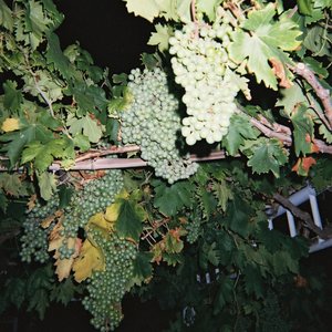 国产手机精品一区二区女性向
